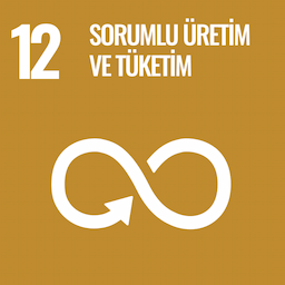 SDG 12