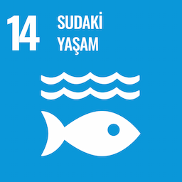 SDG 14