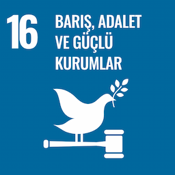 SDG 16