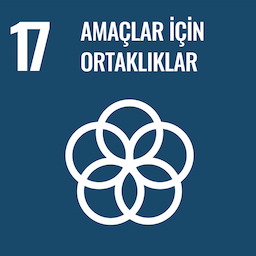 SDG 17