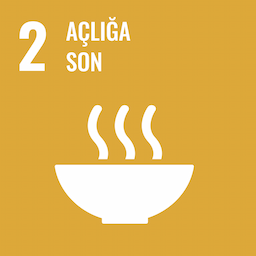 SDG 2