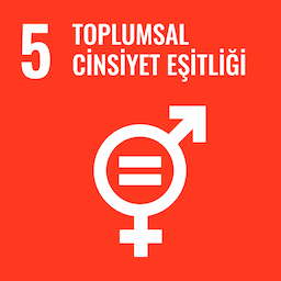 SDG 5