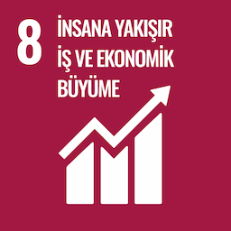 SDG 8