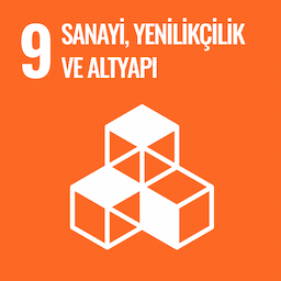 SDG 9