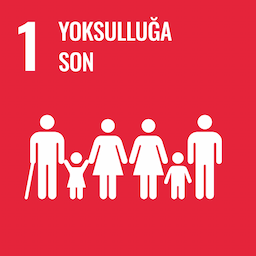 SDG 1