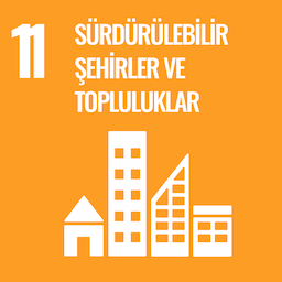 SDG 11