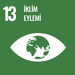 SDG 13