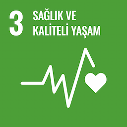 SDG 3