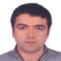 Picture of the site owner